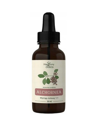 Alchornea cordifolia 1:1 nalewka 50ml Nanga