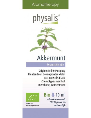 OLEJEK ETERYCZNY MIĘTA POLNA BIO 10 ml - PHYSALIS