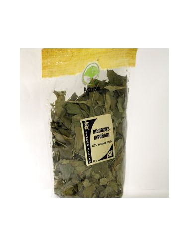 Miłorząb japoński (Ginko biloba) liście suszone 100g Astron