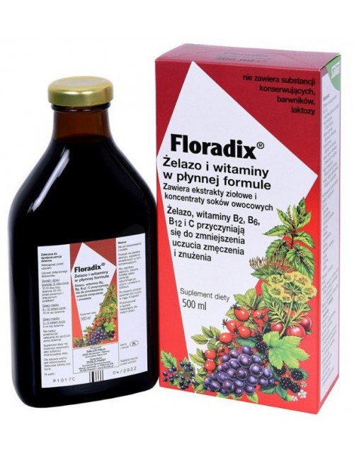 Żelazo i witaminy 500ml Floradix